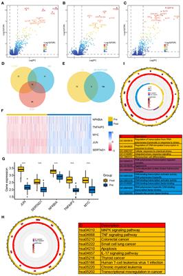 Comprehensive analysis of necroptosis-related genes in renal ischemia-reperfusion injury